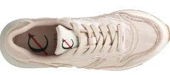 Sneaker CafèNoir DL9000 tessuto cipria metallizzato